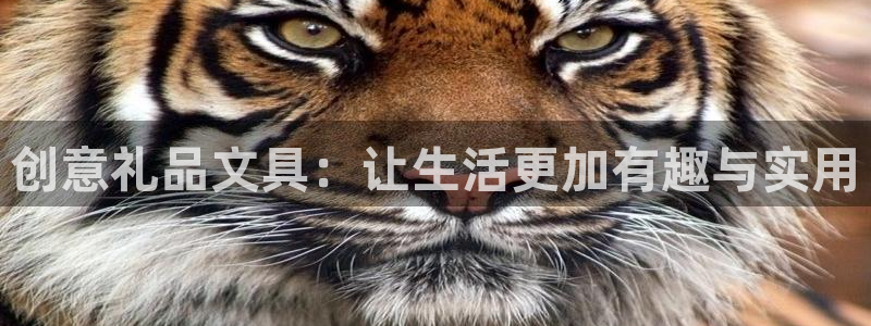 卧龙娱乐下