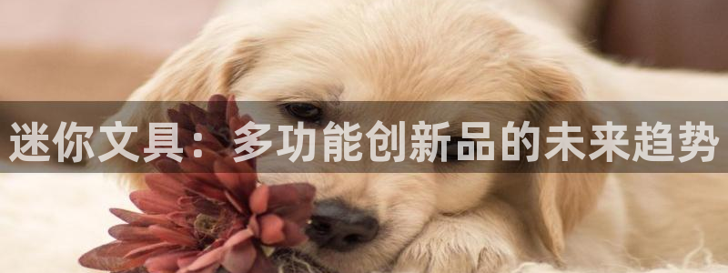 卧龙名都娱乐会所