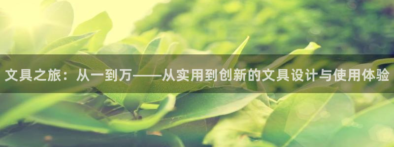 卧龙娱乐招商主管工资