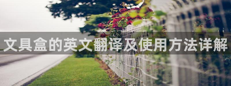 娱乐聚焦卧龙凤雏