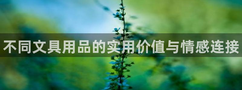 卧龙棋牌娱乐官网