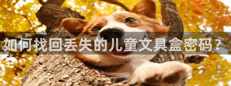 卧龙娱乐在线直播网站