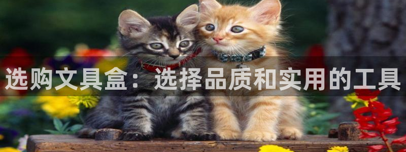 sky娱乐 扣卧龙60447：选购文具盒