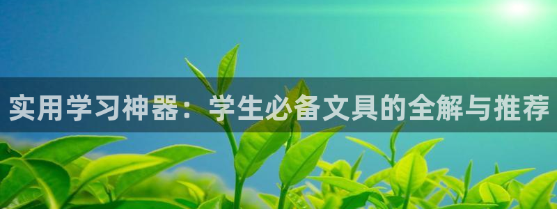 卧龙娱乐下：实用学习神器：学生必备文具的