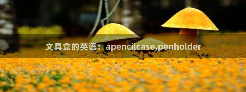 卧龙娱乐日：文具盒的英语：apencil