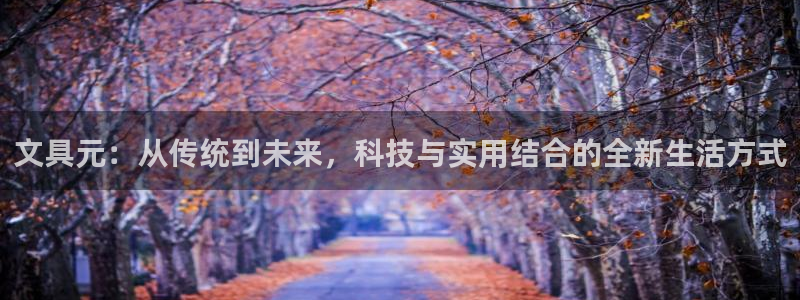 卧龙凤雏娱乐号：文具元：从传统到未来，科