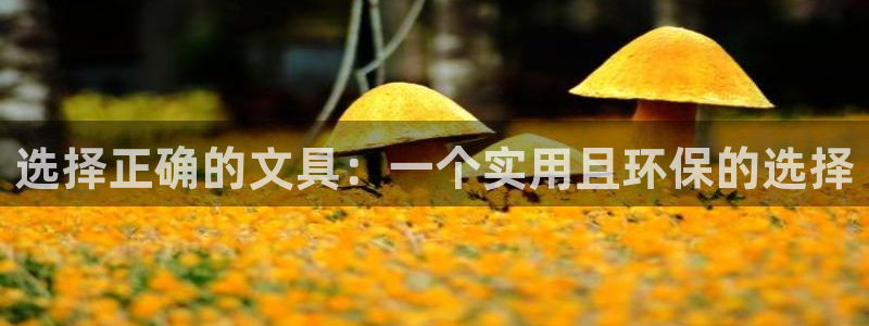 创亿娱乐d卧龙313322：选择正确的文