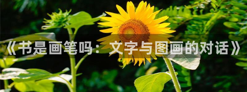 卧龙谷娱乐：《书是画笔吗：文字与图画的对