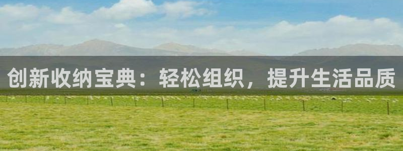 卧龙娱乐直播间：创新收纳宝典：轻松组织，