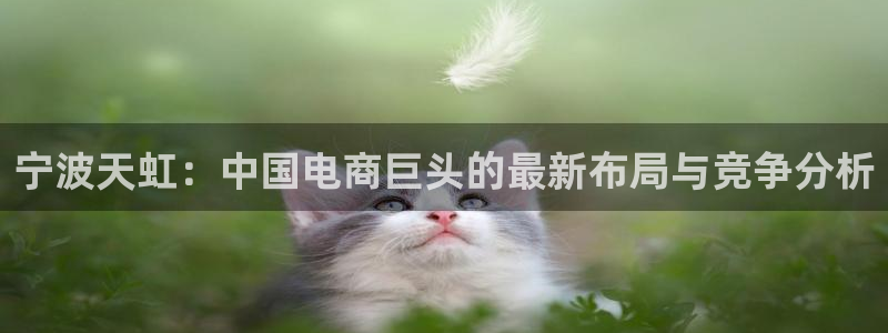 卧龙娱乐前：宁波天虹：中国电商巨头的最新