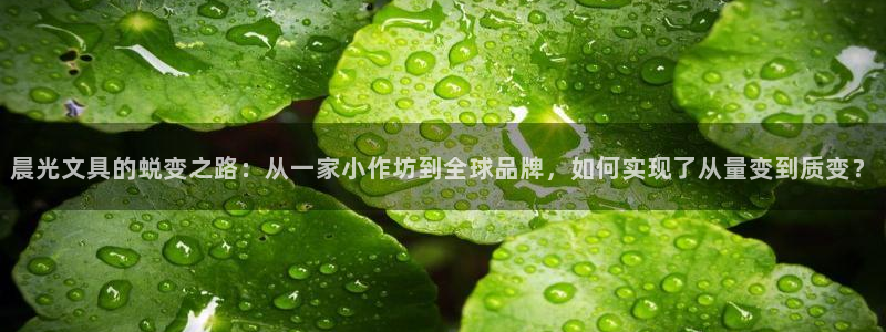 卧龙湾娱乐项目有哪些：晨光文具的蜕变之路