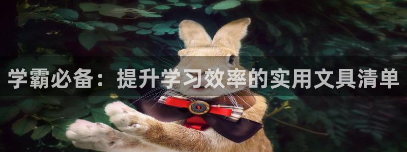 卧龙沙滩蹦床娱乐：学霸必备：提升学习效率