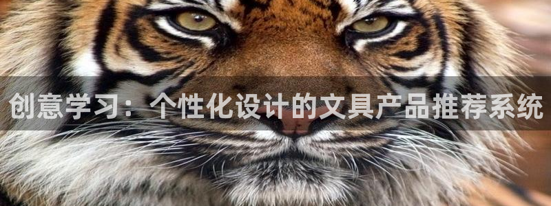 卧龙娱乐招商代理电话：创意学习：个性化设