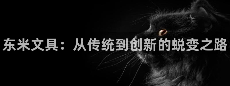 卧龙娱乐396667：东米文具：从传统到