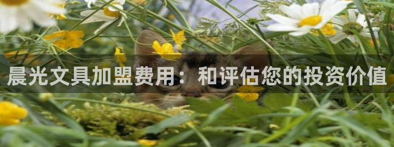 卧龙区维也纳娱乐会所：晨光文具加盟费用：