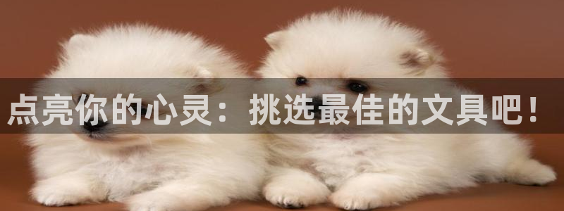 卧龙湾儿童娱乐项目价格：点亮你的心灵：挑