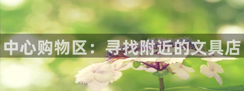 卧龙娱乐网址：中心购物区：寻找附近的文具