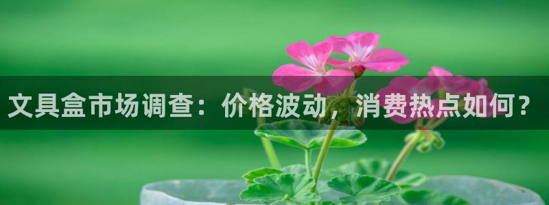 卧龙娱乐下载：文具盒市场调查：价格波动，