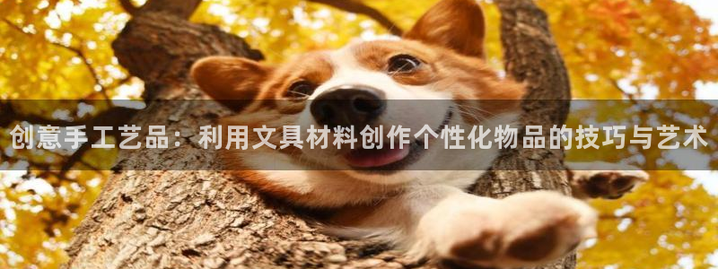 肥羊娱乐卧龙凤雏：创意手工艺品：利用文具