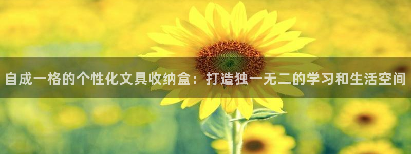 卧龙娱乐集团投注：自成一格的个性化文具收