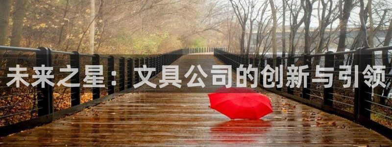卧龙娱乐是什么意思：未来之星：文具公司的