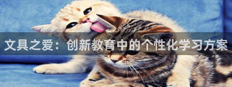 卧龙棋牌娱乐：文具之爱：创新教育中的个性