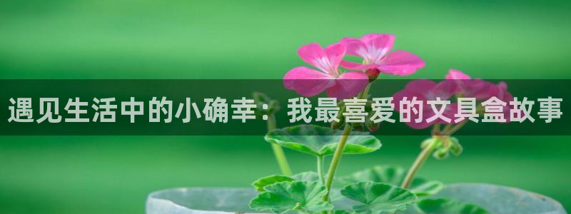 卧龙路凤凰娱乐：遇见生活中的小确幸：我最