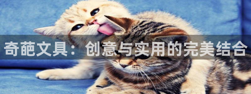 卧龙娱乐招商主管工资：奇葩文具：创意与实