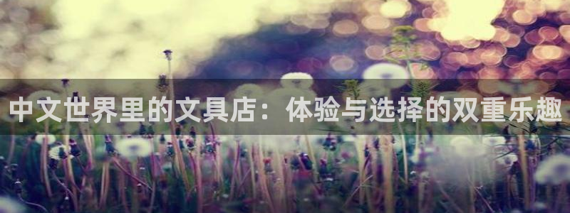 卧龙区娱乐会所：中文世界里的文具店：体验