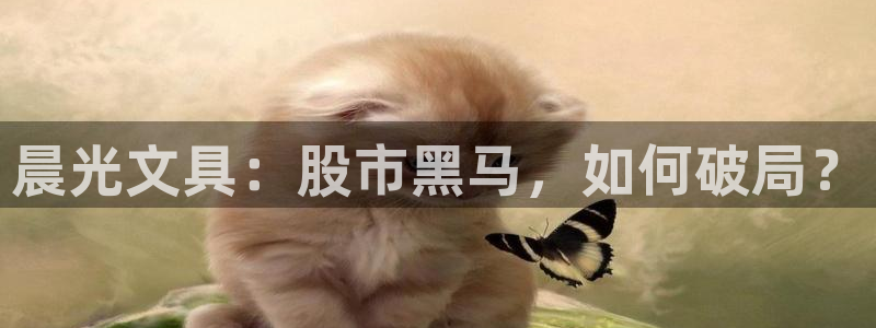 杏耀娱乐卧龙60447：晨光文具：股市黑