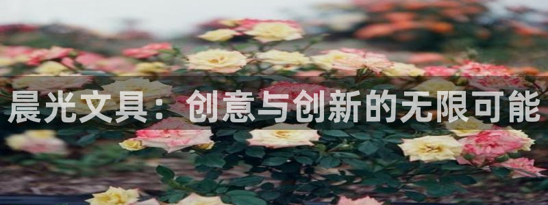 卧龙名都娱乐会所：晨光文具：创意与创新的