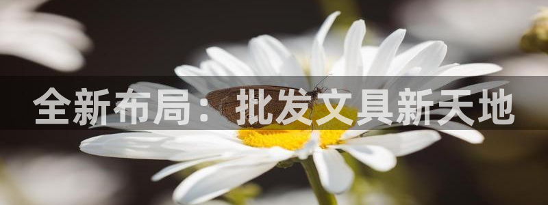 卧龙娱乐app彩票中奖：全新布局：批发文