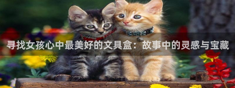 sky娱乐- 0 47卧龙：寻找女孩心中