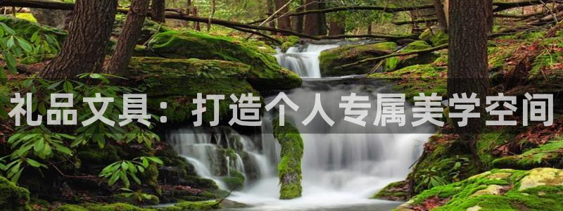 卧龙娱乐32二九01：礼品文具：打造个人