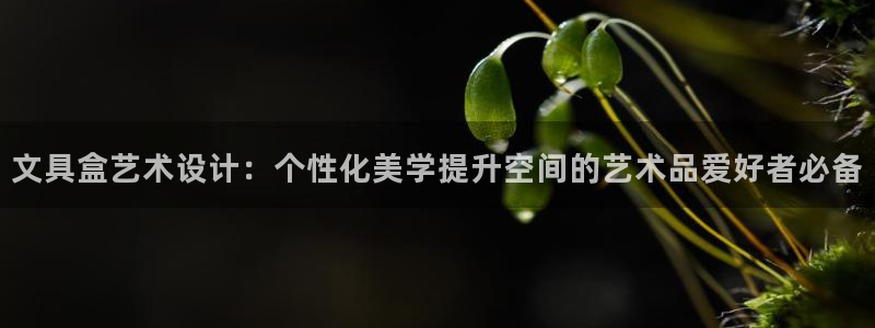 卧龙湾娱乐设施：文具盒艺术设计：个性化美