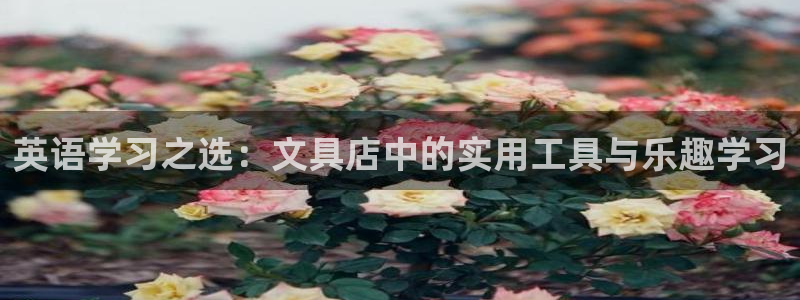 卧龙娱乐招商主管：英语学习之选：文具店中