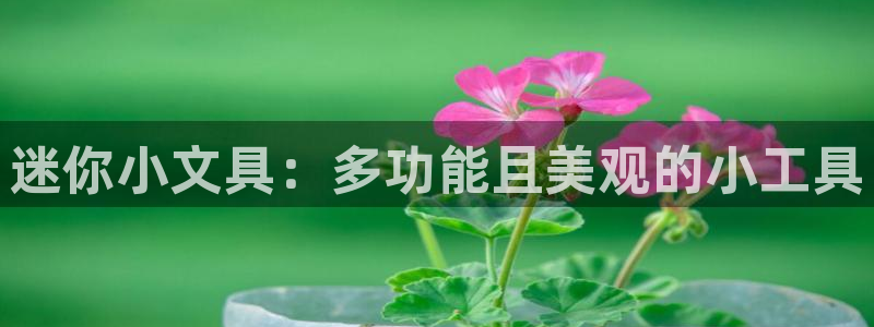 卧龙沟娱乐场：迷你小文具：多功能且美观的